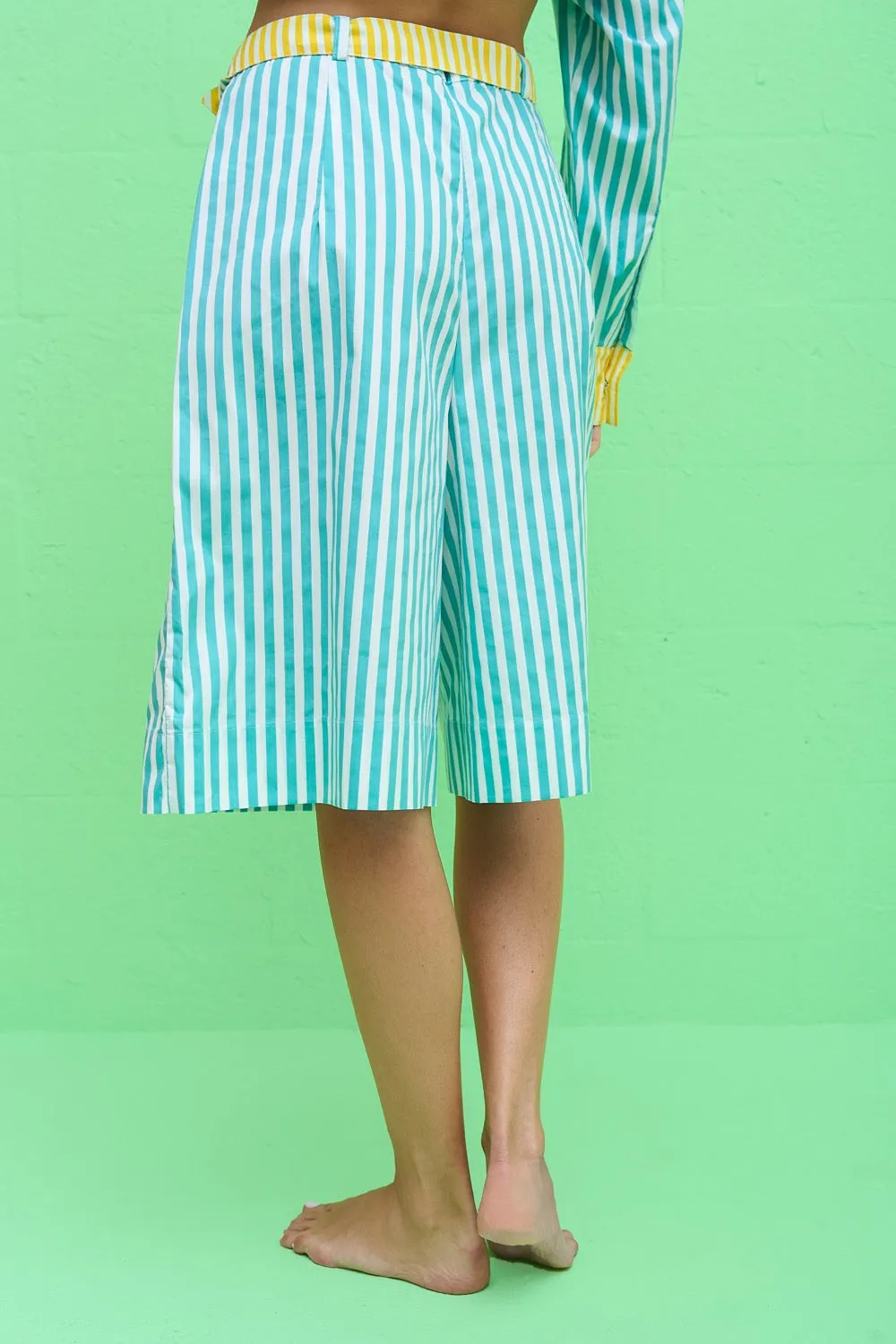 Colorblock Bermuda Shorts