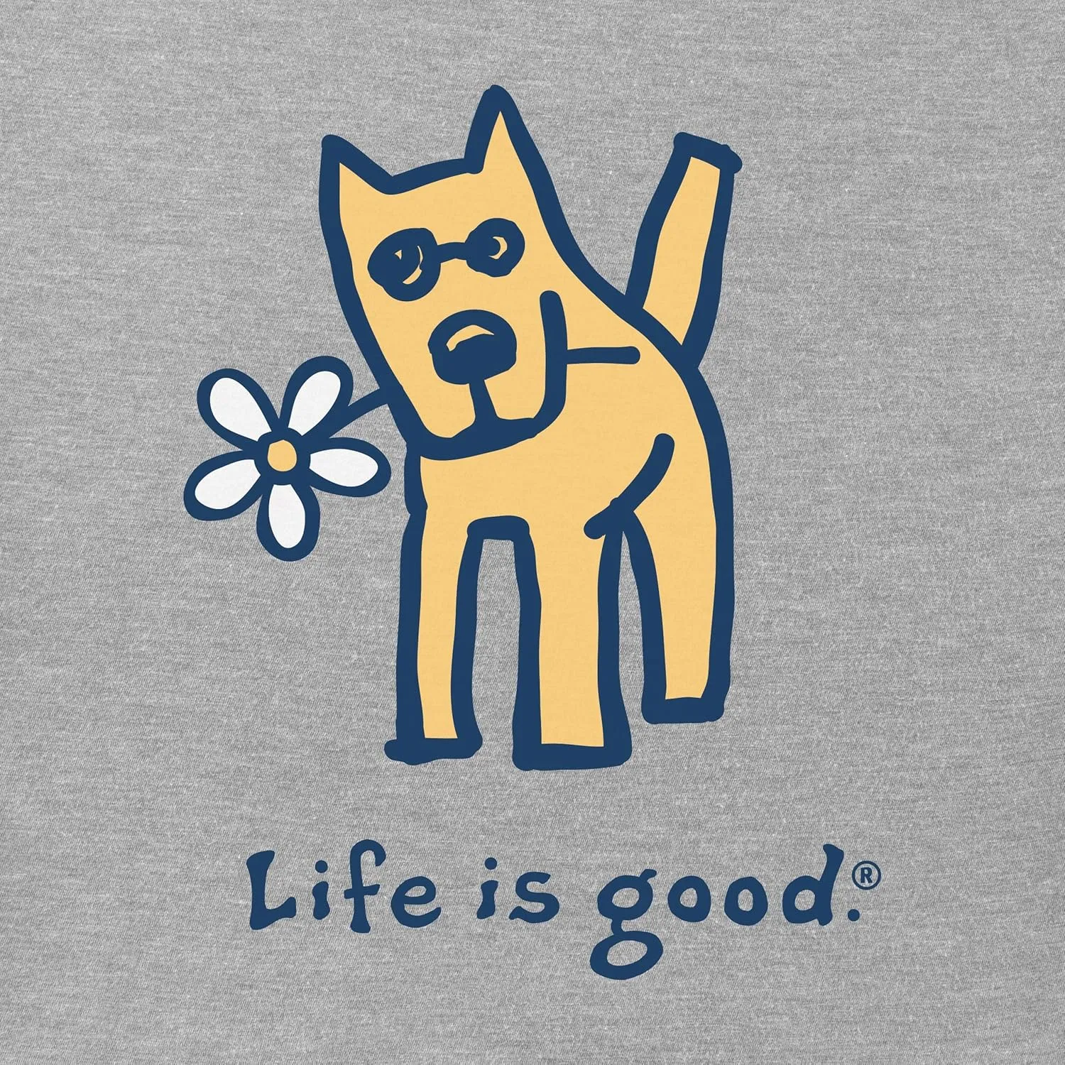 Life is Good Women's Vintage Crusher Tee Rocket with Daisy, Heather Gray